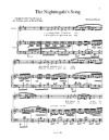 The Nightingale’s Song