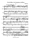 Little Trio for Flute, Alto Sax and Piano–I–2